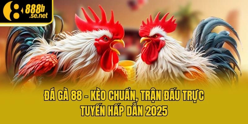 Đá Gà 88 - Kèo Chuẩn, Trận Đấu Trực Tuyến Hấp Dẫn 2025