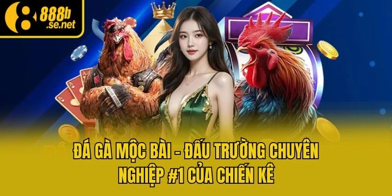 Đá Gà Mộc Bài - Đấu Trường Chuyên Nghiệp #1 Của Chiến Kê